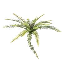 Skovbregne - 40 cm - Kunstig Plante