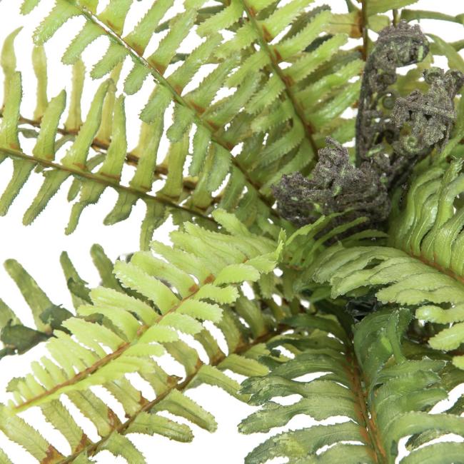Skovbregne - 40 cm - Kunstig Plante