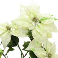 Hvid Julestjerne - Poinsettia Plante - H60cm - Kunstig Plante