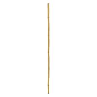 Bambus Rør - Ø:5cm - H:200cm - Glasfiber - Kunstig Plante