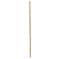 Bambus Rør - Ø:3cm - H:200cm - Glasfiber - Kunstig Plante