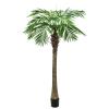 Store palmer (fra 2 meter)