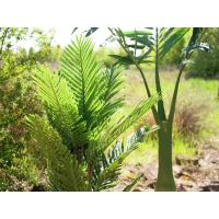 Kunstig Kentia Palme. 140 Cm.