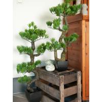 Kunstigt Bonsai Træ. Fyrretræ. 95 Cm.