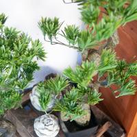 Kunstigt Bonsai Træ. Fyrretræ. 95 Cm.