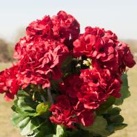 Kunstig Geranium Strokenæb. Rød 42 Cm.