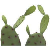 Kunstig Opuntia kaktus. 75 Cm.
