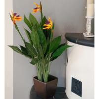 Kunstig Strelitzia. 90 Cm.