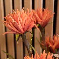 Kunstig Dahlia Stikling. Orange. 100 Cm.