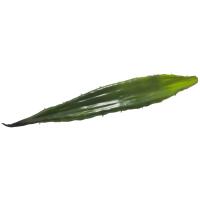 Kunstigt Aloe Blad. Grøn. 60 Cm.