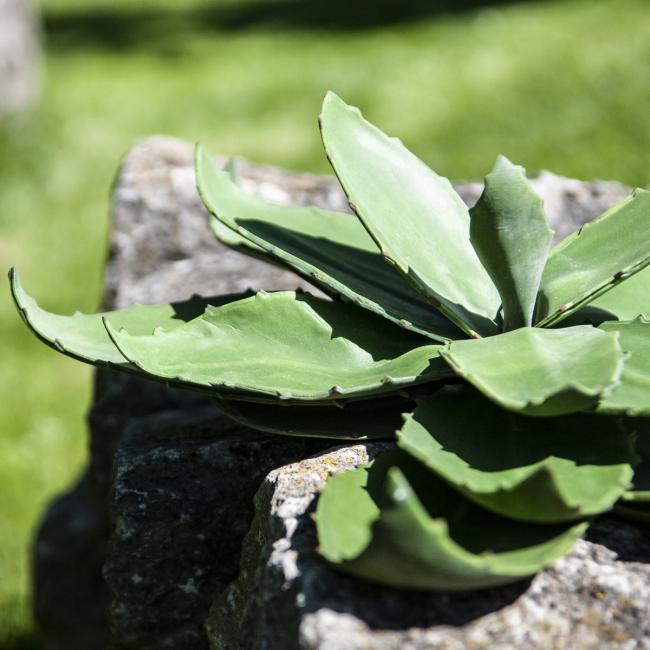 Kunstig Agave Plante. Grøn. 45 Cm.