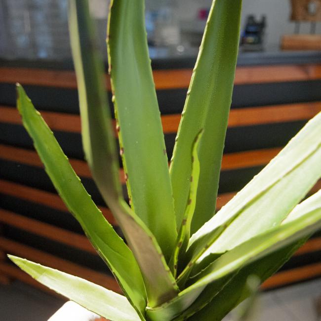 Kunstig Aloe Plante. Grøn. 50 Cm.