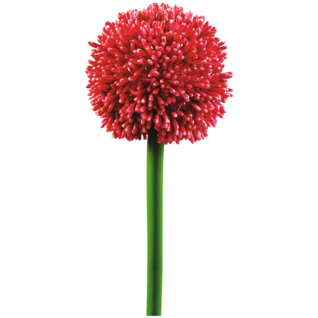 Kunstig Allium Stikling. Rød. 55 Cm.