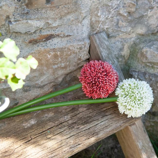 Kunstig Allium Stikling. Rød. 55 Cm.