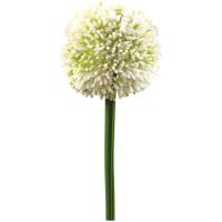 Kunstig Allium Stikling. Cremefarvet. 55 Cm.