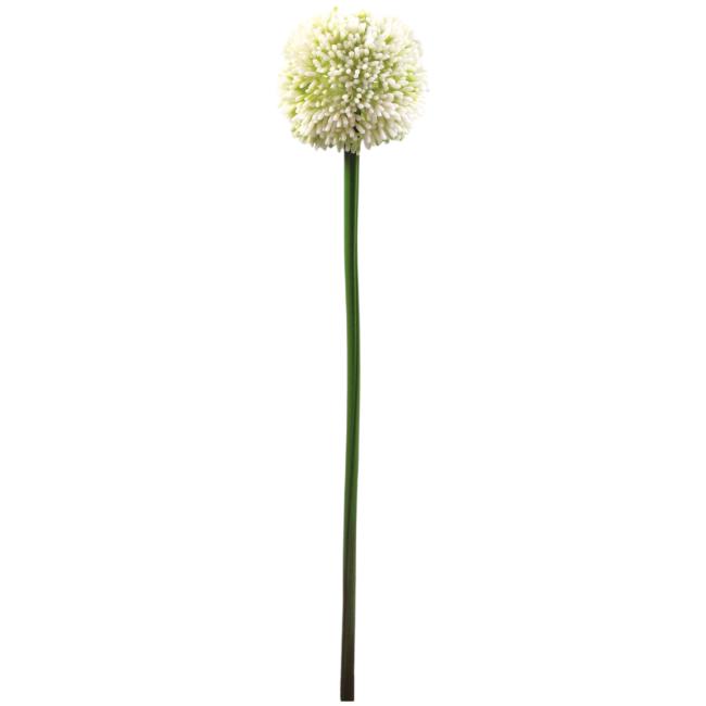 Kunstig Allium Stikling. Cremefarvet. 55 Cm.