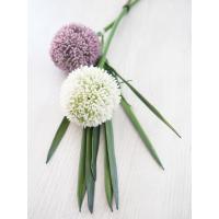 Kunstig Allium Stikling. Cremefarvet. 55 Cm.