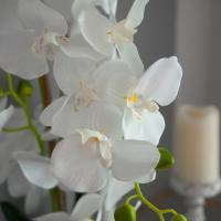 Kunstig Orkidé. Hvid. 80cm
