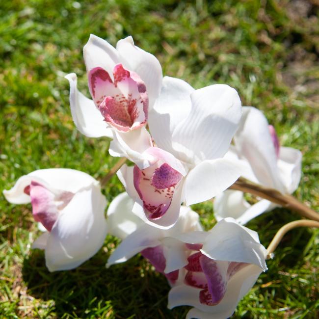 Kunstig Cymbidium Stikling. Hvid/ Pink. 90 Cm.