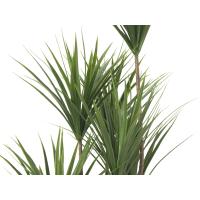 Kunstig Yucca Palme Med Slanke Stammer. 130 Cm.