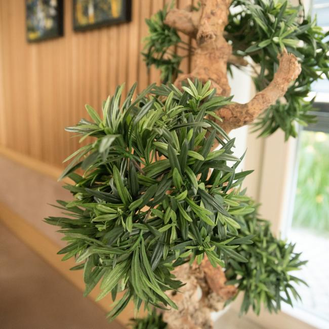 Kunstigt Bonsai Træ. 180 Cm.
