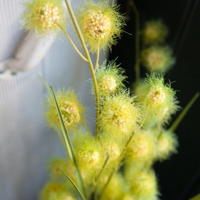 Kunstigt Allium Græs. 122 Cm.