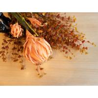 Kunstig Eukalyptus Kvist. Orange. 110 Cm.