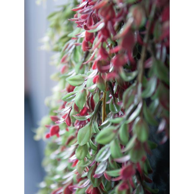 Græs Slyngplante - Grøn-Rød - 105 cm - Kunstig Plante