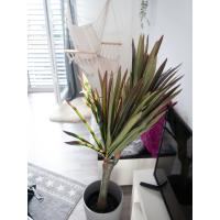 Kunstig Dracena. Grøn-Rød. 120 Cm,