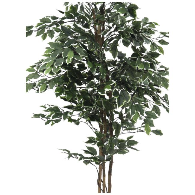 Kunstigt Ficus Træ. Broget. 180 Cm.