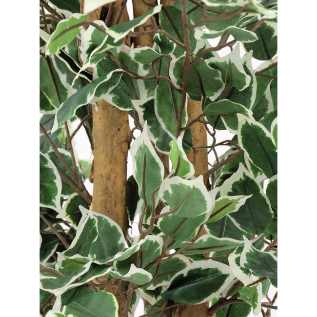 Kunstigt Ficus Træ. Broget. 180 Cm.