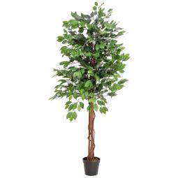 Kunstigt Flerstammet Ficus Træ. 150 Cm.