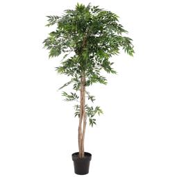 Kunstig Ficus Longifolia. Plante. 165 Cm.