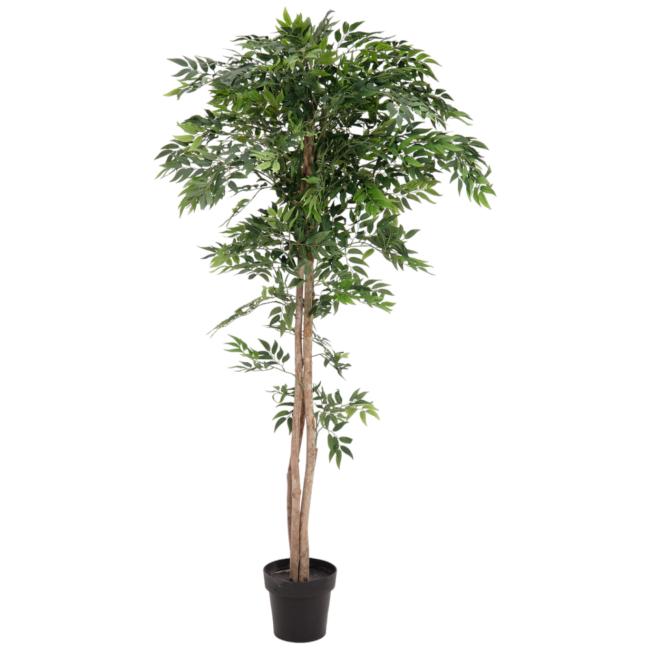 Kunstig Ficus Longifolia. Plante. 165 Cm.
