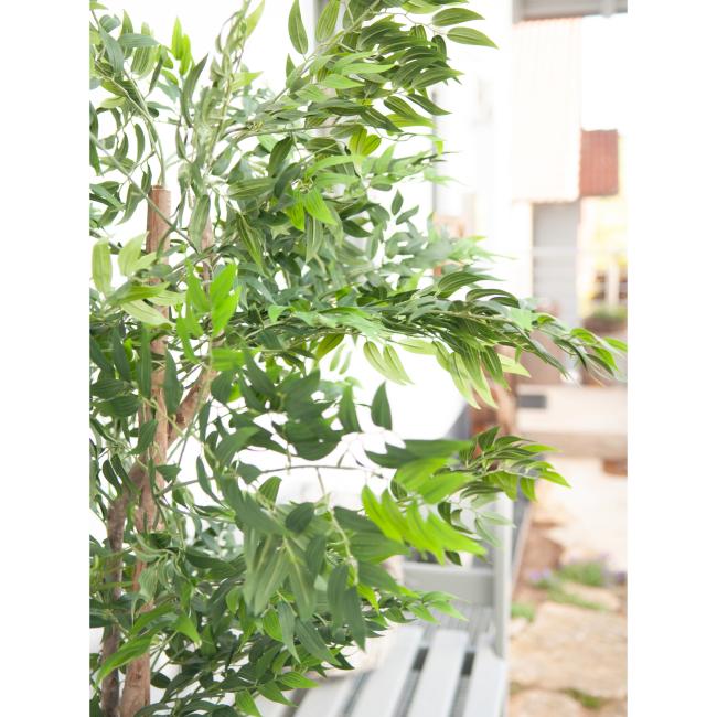 Kunstig Ficus Longifolia. Plante. 165 Cm.