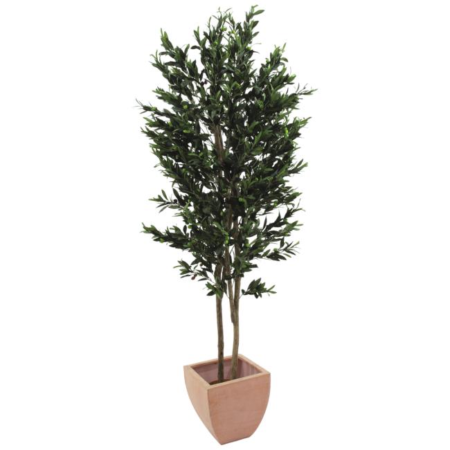 Kunstigt Oliventræ Med Oliven. 2 Grene. 250 Cm.