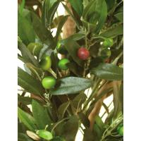 Kunstigt Oliventræ Med Oliven. 2 Grene. 250 Cm.