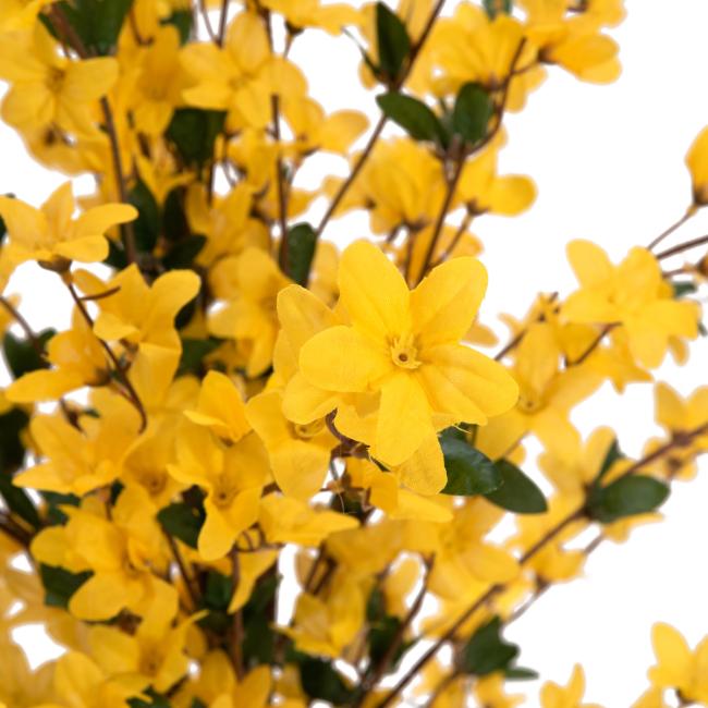 Kunstigt Vårguld Træ (Forsythia) Med 4 Grene. Gul. 120  Cm.