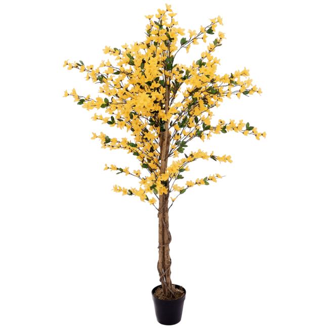 Kunstigt Vårguld Træ (Forsythia) Med 4 Grene. Gul. 150  Cm.