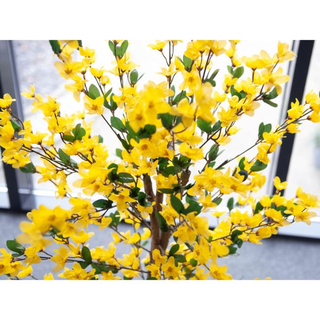 Kunstigt Vårguld Træ (Forsythia) Med 4 Grene. Gul. 150  Cm.