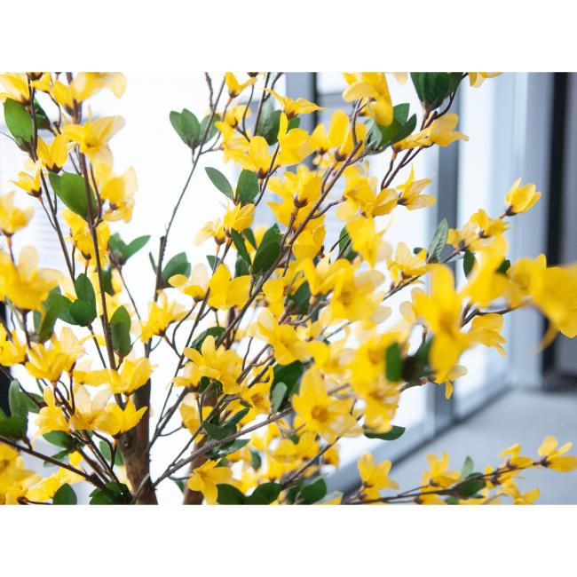 Kunstigt Vårguld Træ (Forsythia) Med 4 Grene. Gul. 150  Cm.