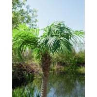 Kunstig Phønix Palme (Daddel). 300 Cm.
