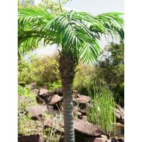 Kunstig Phønix Palme (Daddel). 300 Cm.