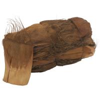 Ægte Kokospalme Bark.