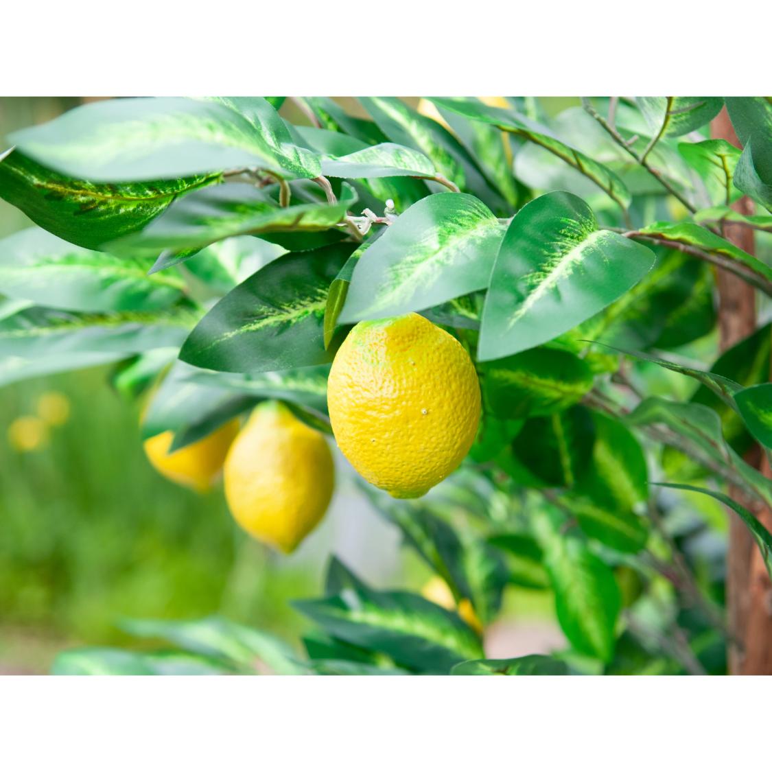 frugter på et Kunstigt Citrontræ med frugter - 180 cm