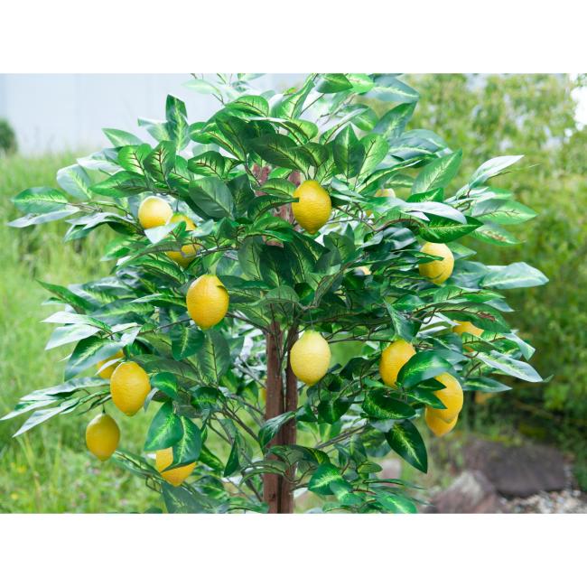 Kunstigt Citron Træ. 180 Cm.