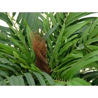 Areca palm, artificial plant, 140cm