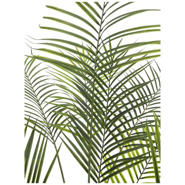 Kunstig Areca Palme Med Store Blade. 185 Cm.