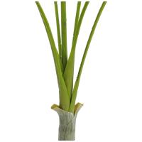 Kunstig Areca Palme Med Store Blade. 180 Cm.