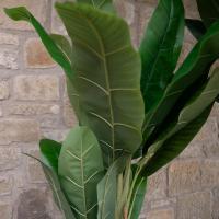 Kunstig Bananpalme. 170 Cm.